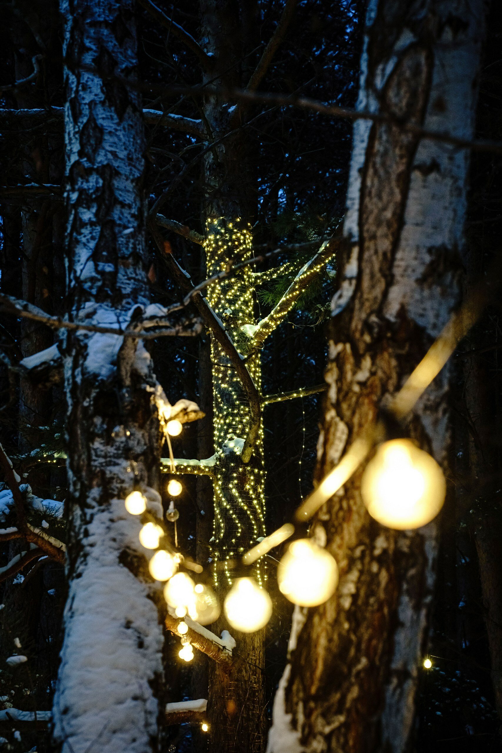 Фото А Терем