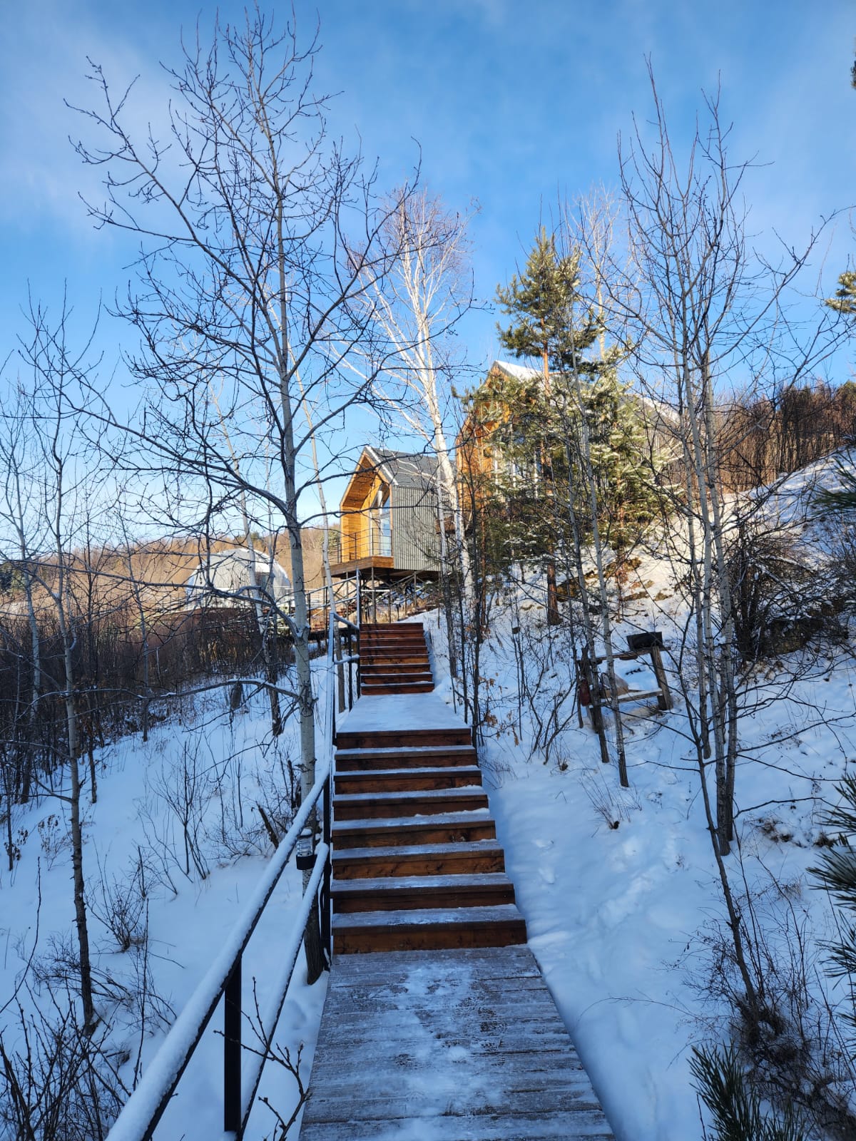 Фото 11 Гор Алтая