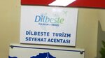 Dilbeste Turizm (İstanbul, Uskudar, Selmanı Pak Cad., 11), tour operator