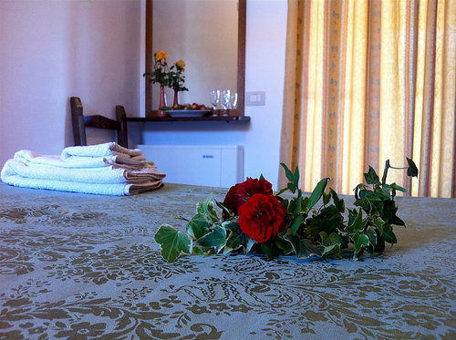 Фото Agriturismo Agave