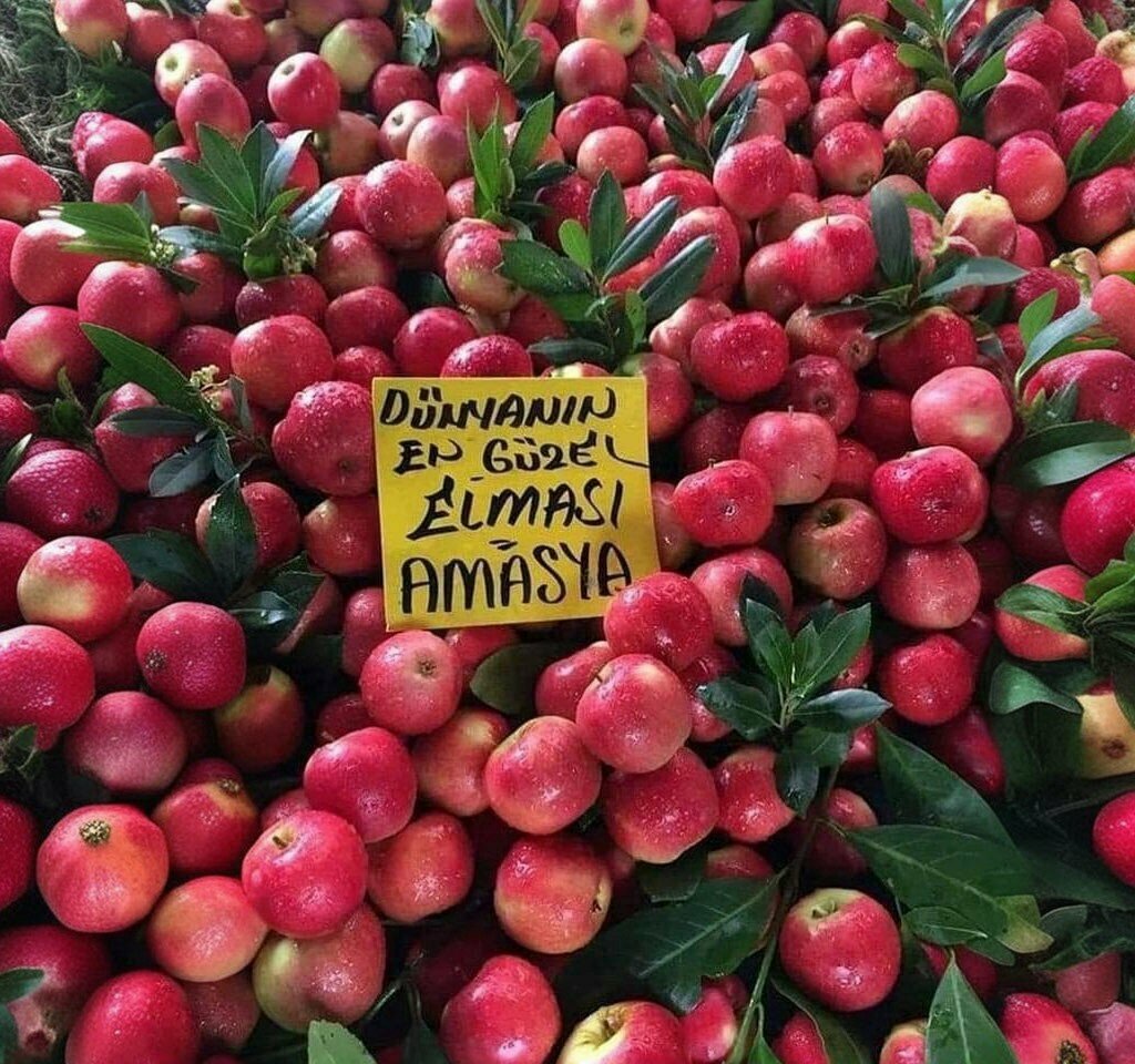 Construction company Rapido Construction Engineering Industry, Amasya, photo