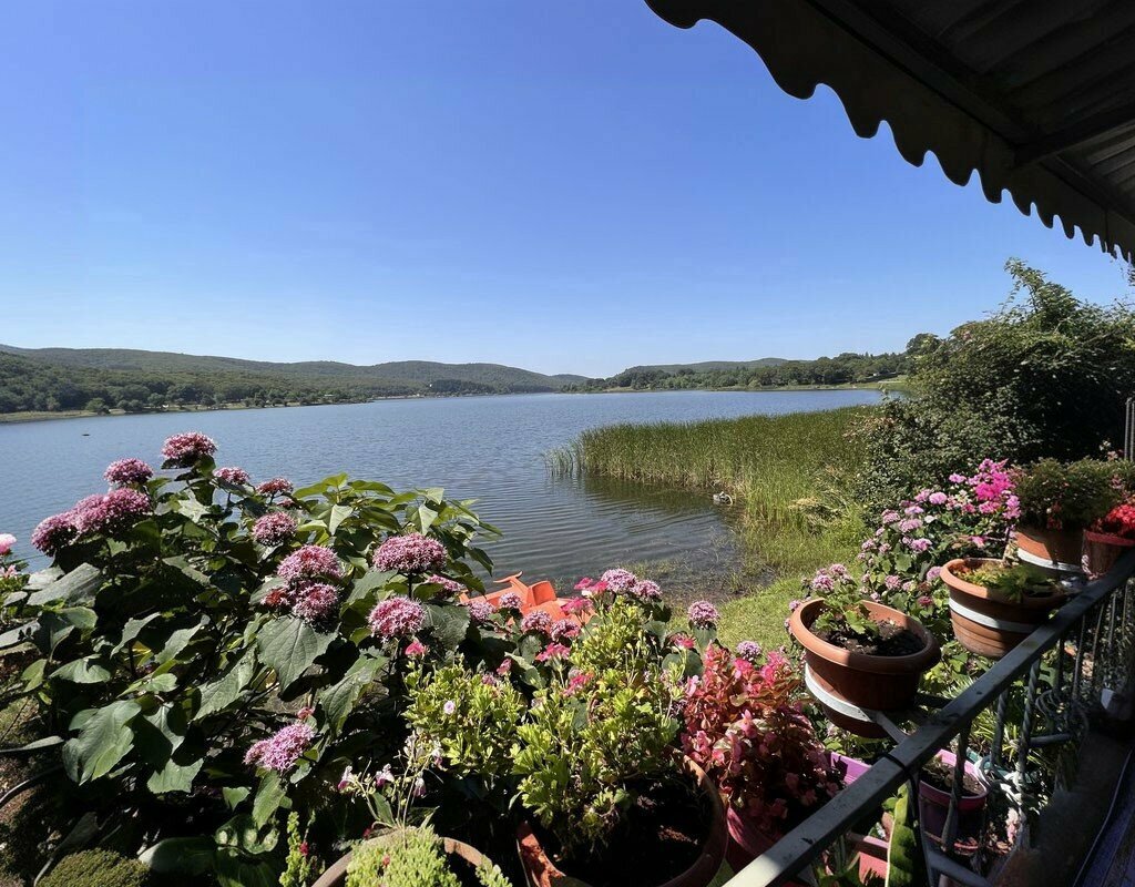 Restaurant Özdemir Fish, Adapazari, photo