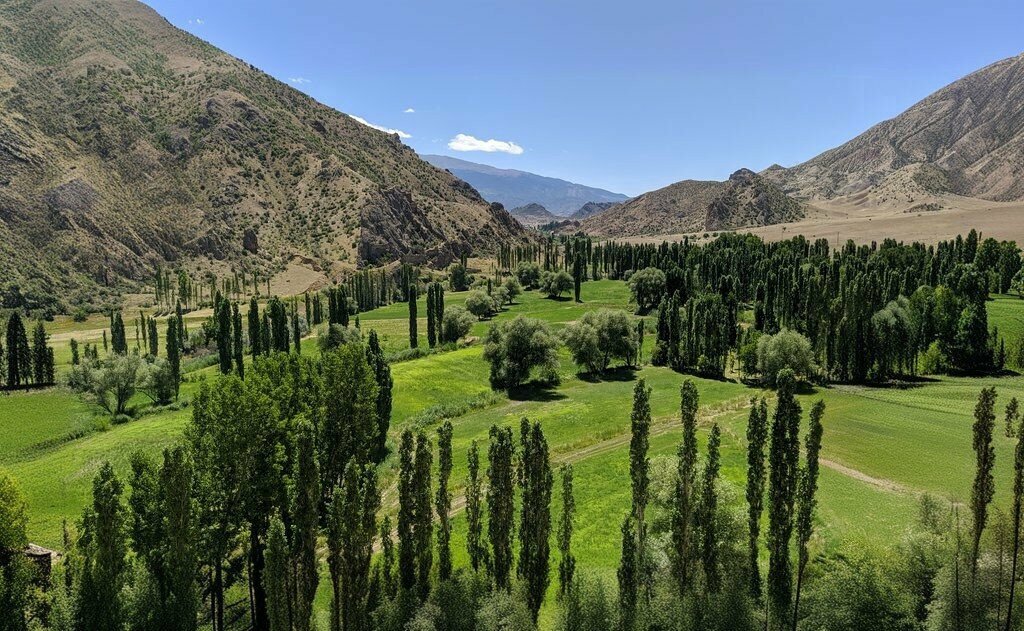 Landmark, attraction Maiden's Castle, Oltu, photo