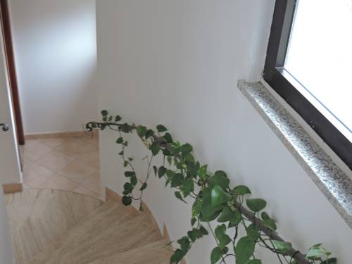 Фото Albergo Ristorante Pizzeria La Bocca di Bacco