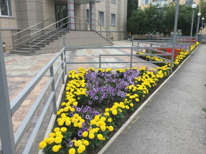 Фото Аврора