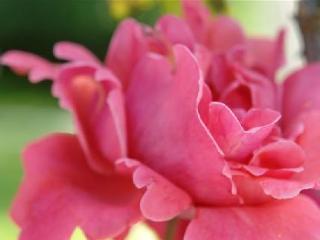 Фото Hotel Greif