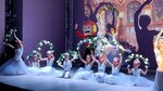 Щелкунчик (Arkhitektora Vlasova Street, 8), dance school