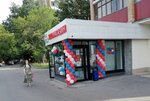 Bethowen (Ryazansky Avenue, 58/1) ، أحواض السمك