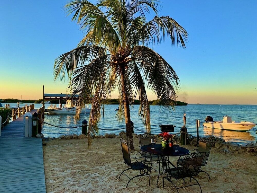 Фото Coconut Palm Inn