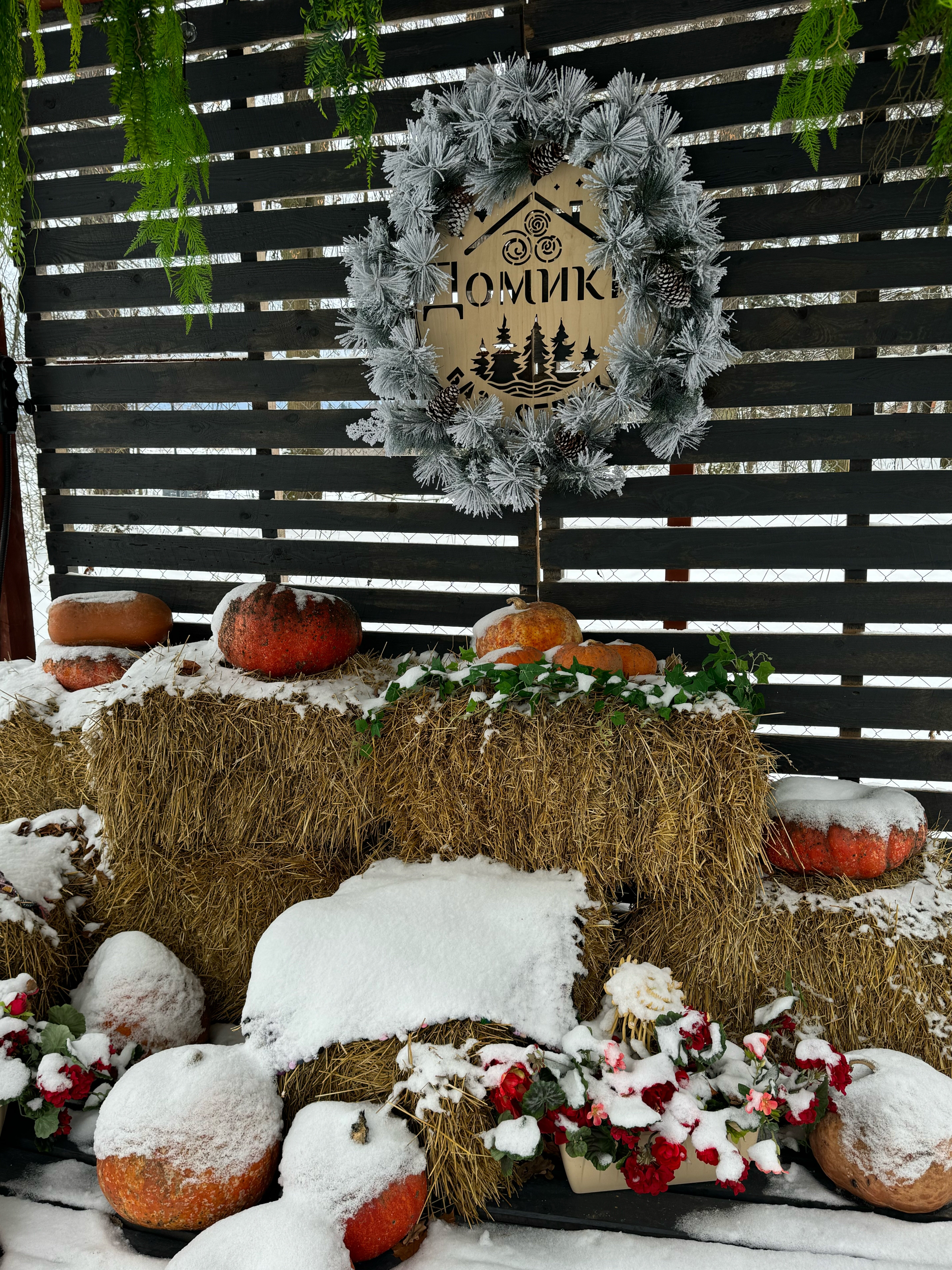 Фото База отдыха Домики