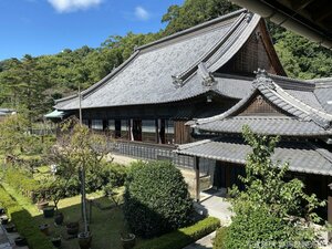 Гостиница Hotel Wing International Shizuoka