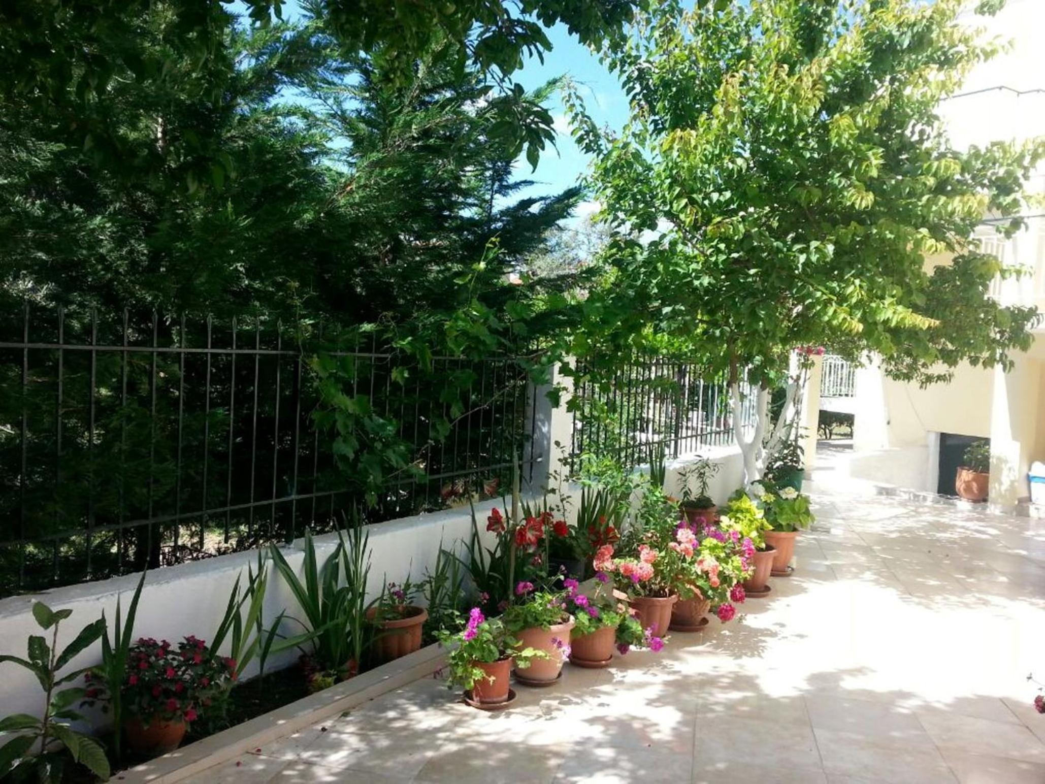 Фото Elena's Garden