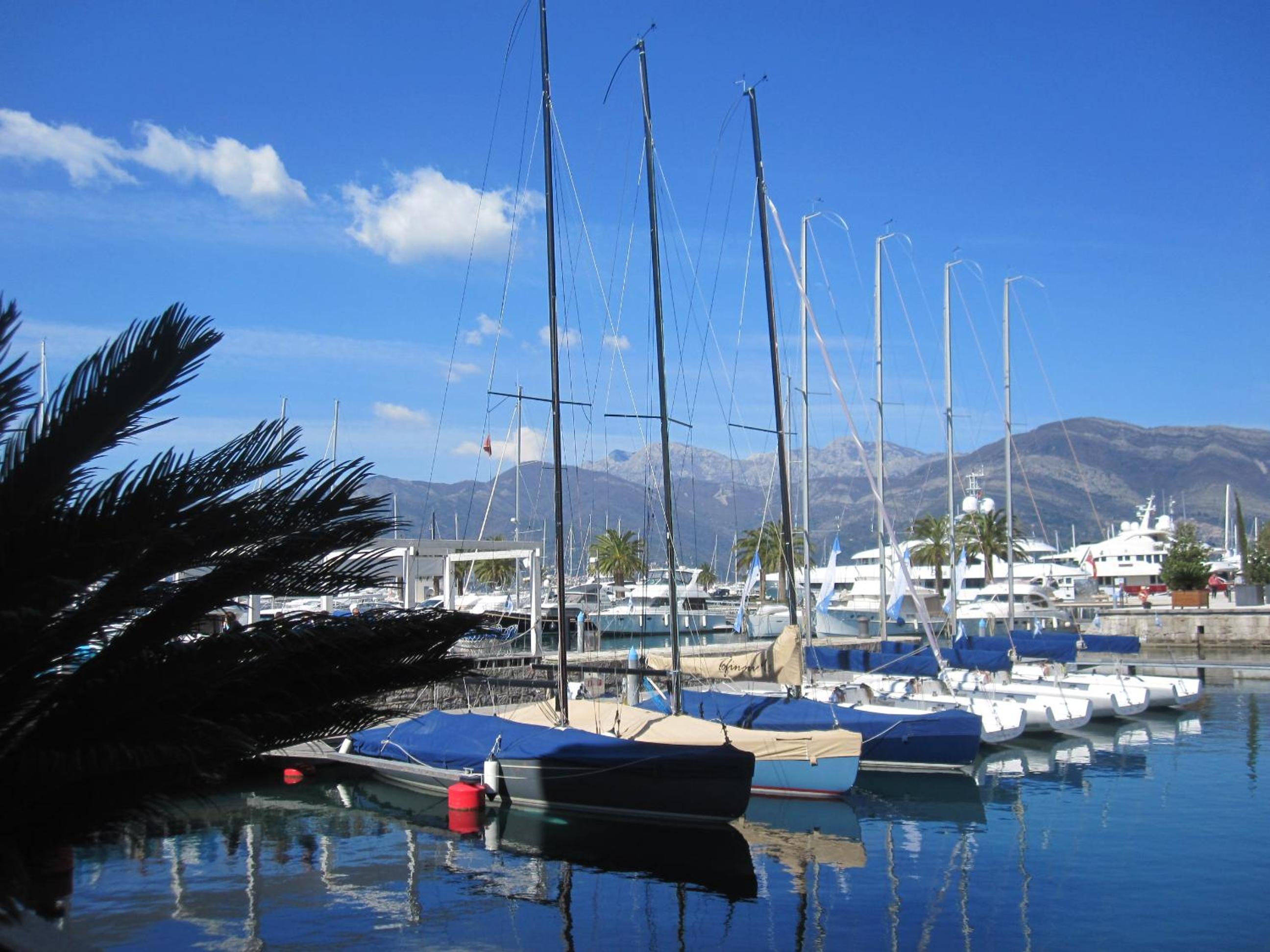 Фото Apartments City Center