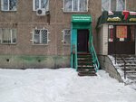 Metallurg (ulitsa Lomova, 163), asociaciones y sociedades hortícolas