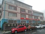 Trabzonlular Association (Istanbul, Maltepe, Altaycesme Neighborhood, Saldiray Street, 11), environmental organization