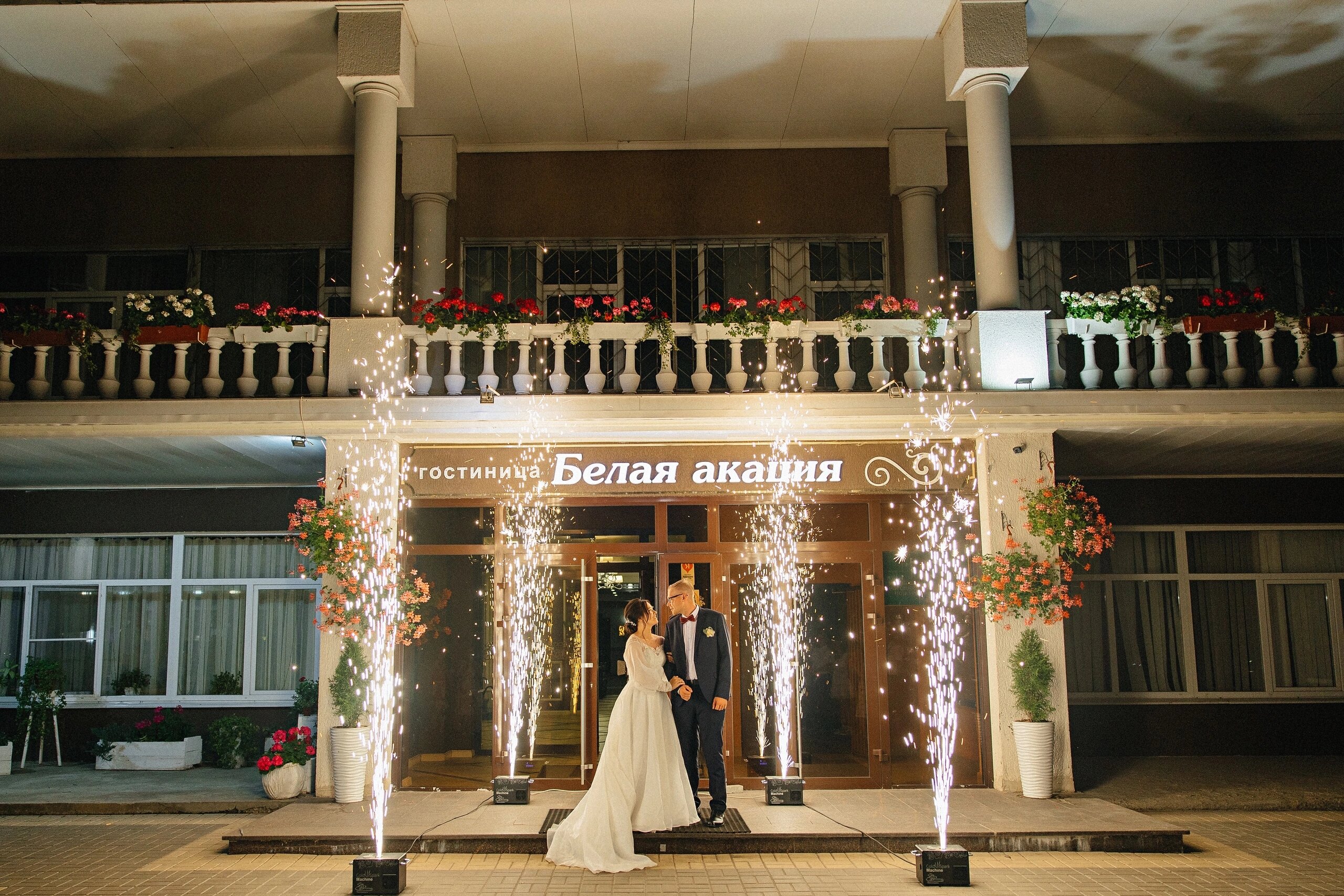 Фото Белая Акация