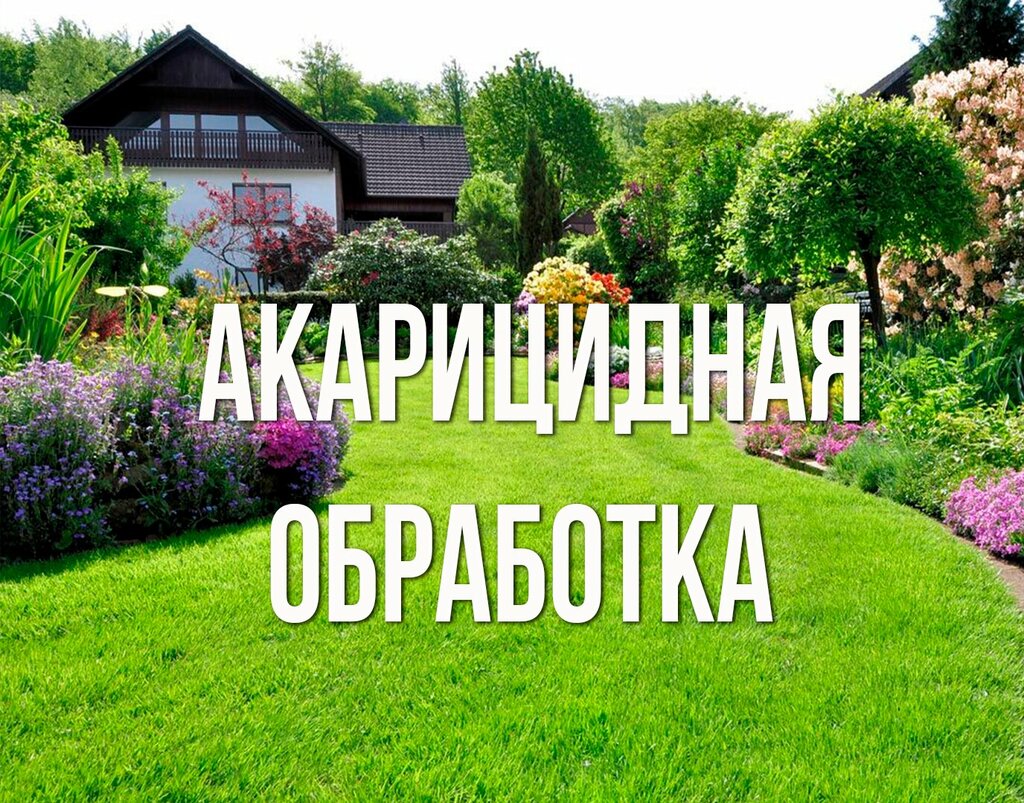 Desinfección, desinsectación, desratización Первая Дезинфекционная Компания, , foto