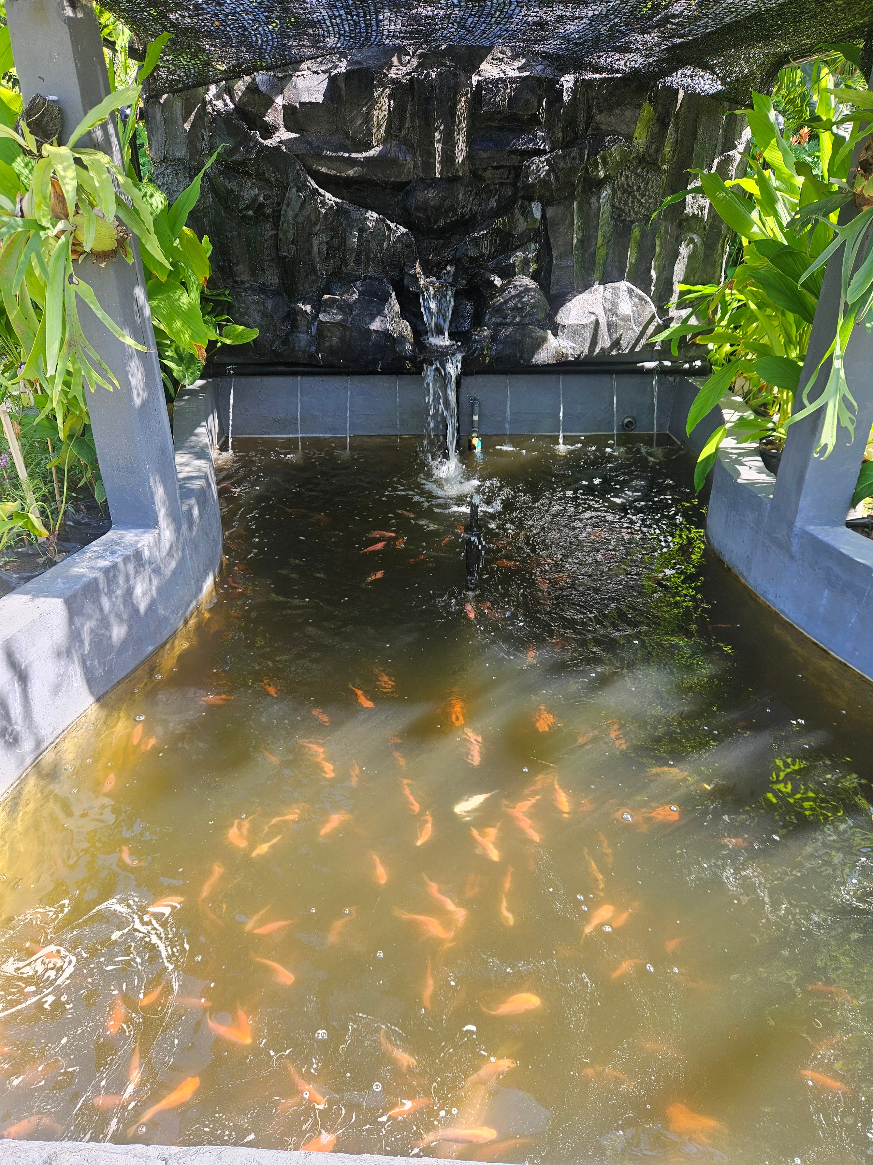 Фото Bali Nusa Dua Hotel