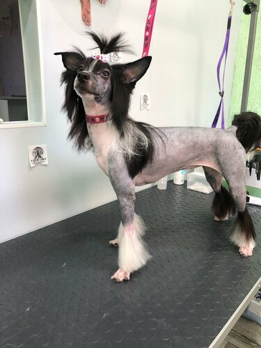 Katav Ivanovsk Chelyabinsk viloyati porno