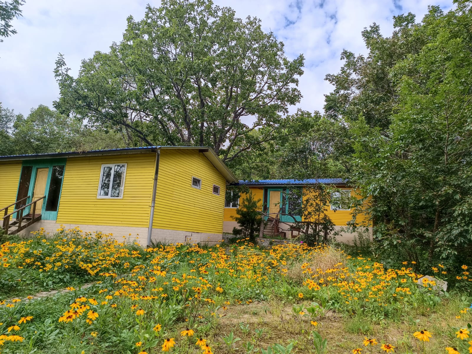 Фото Камень Льва