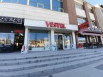 Vestel (Ankara Province, Golbasi District, Ankara Avenue, 100F), household appliances store