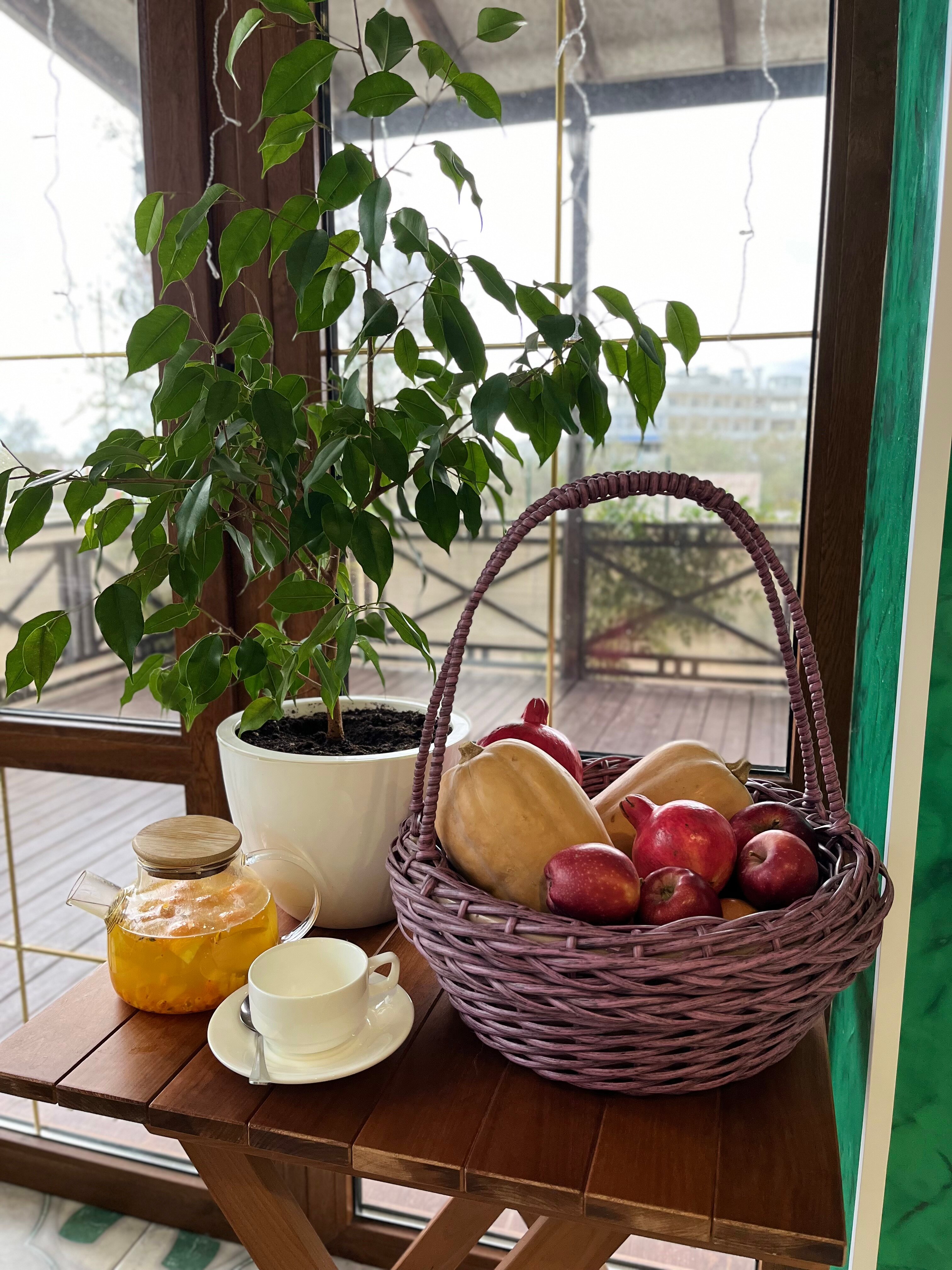 Фото Акуна Матата