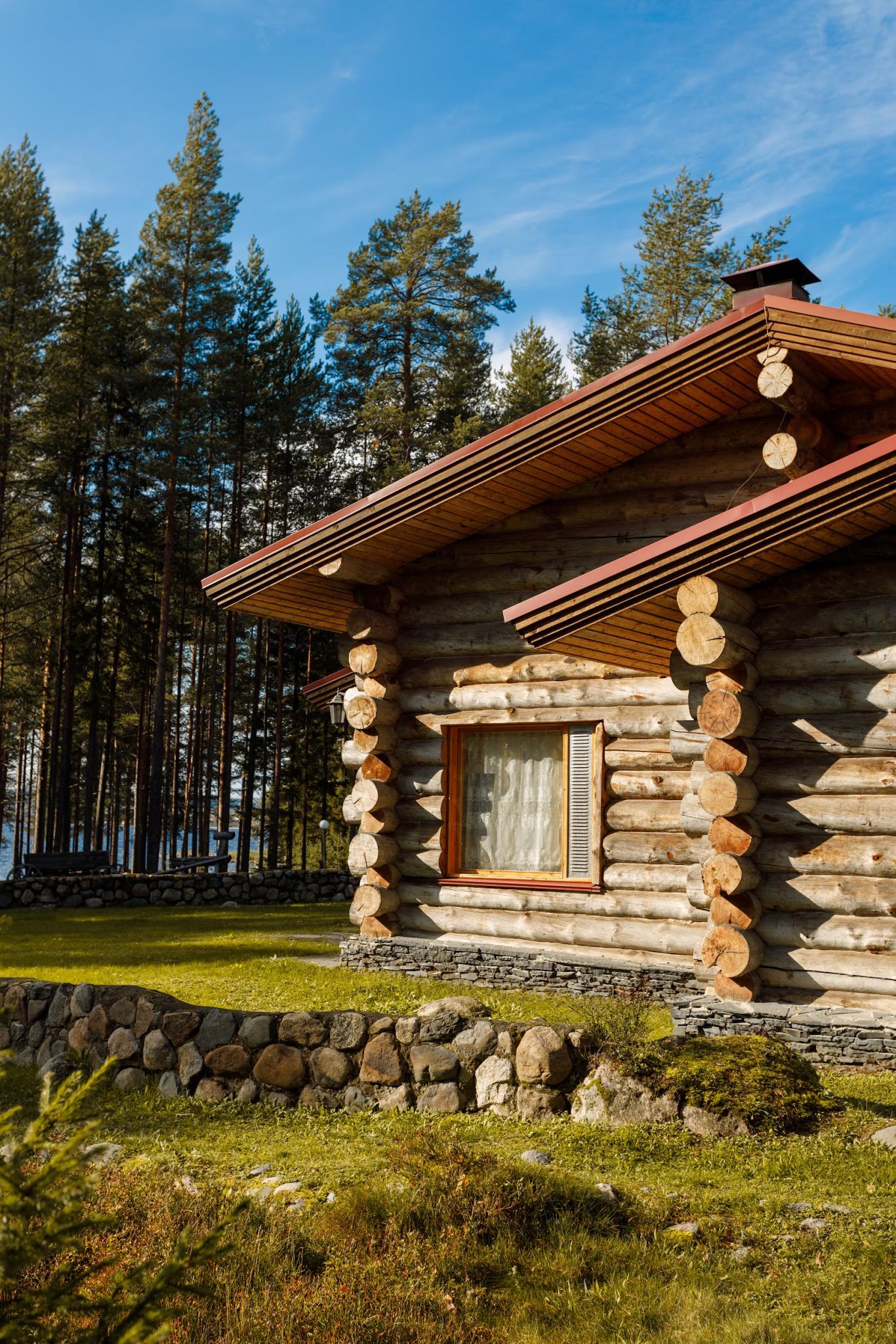 Фото Медвежка в Карелии