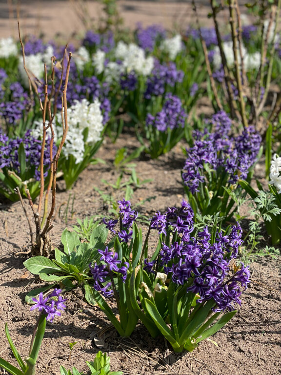 Фото Русский