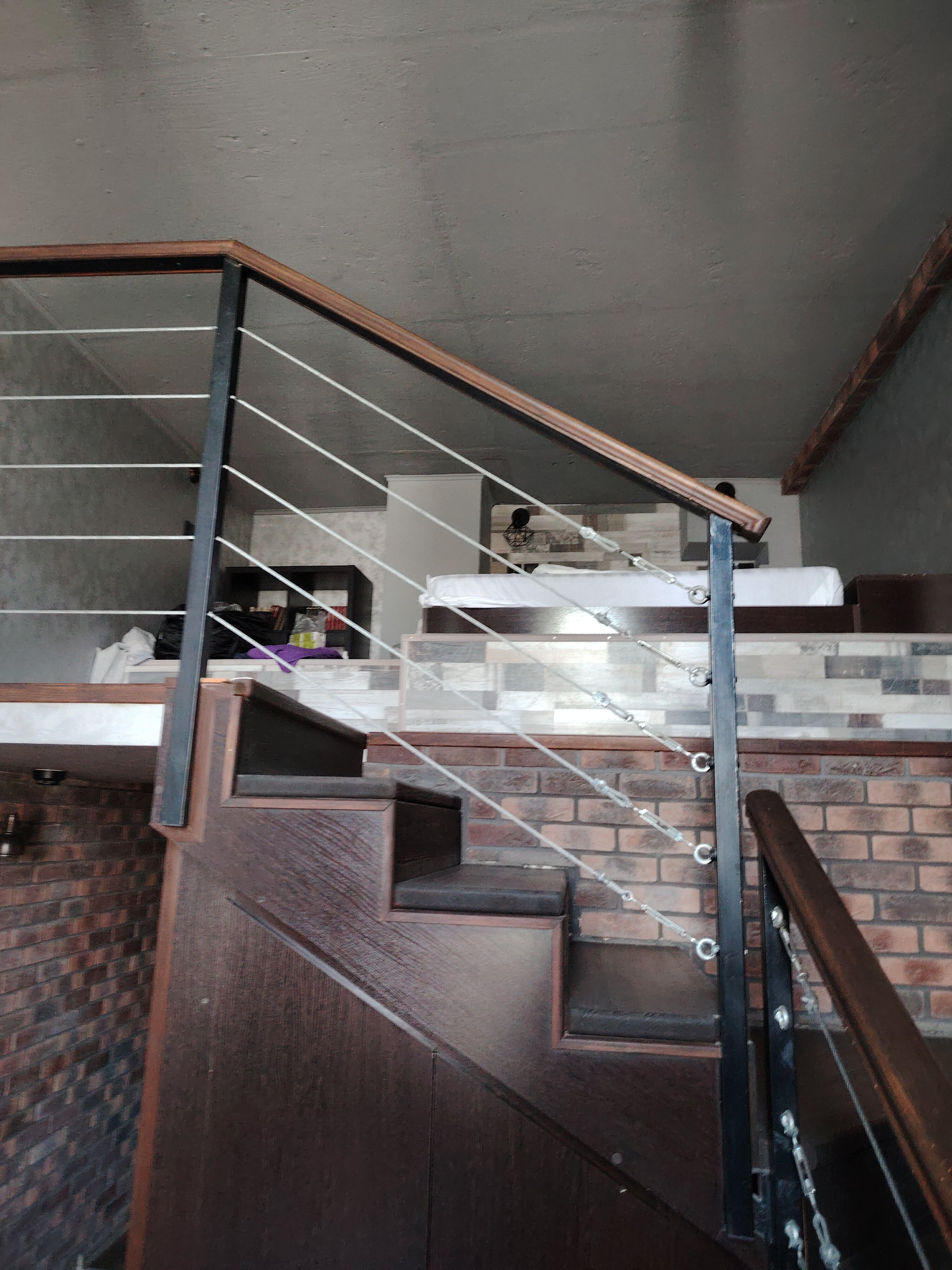 Фото Наутилус