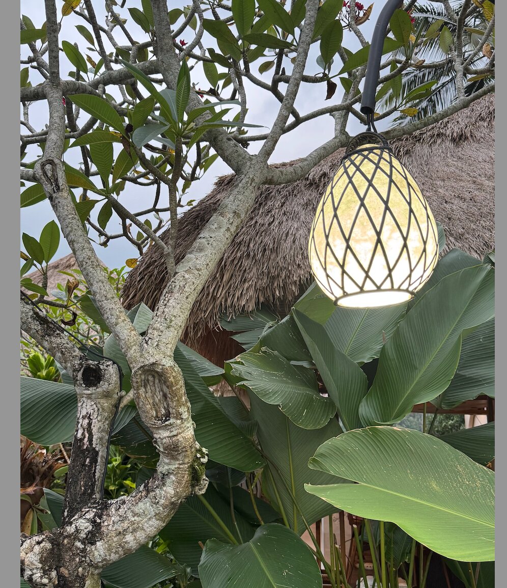 Фото Ubud Padi Villas