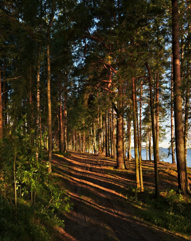 Фото Гармония