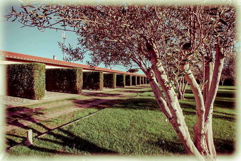 Фото All Ways Garden & Leisure Hotel