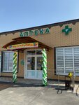 Исток здоровья (Novoaleksandrovsk, Zapadny pereulok, 8), pharmacy
