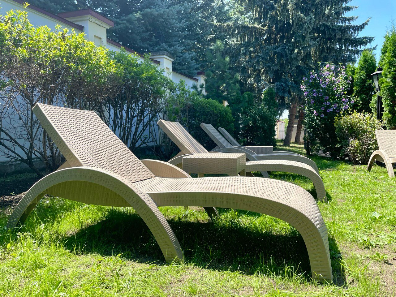 Фото Звездный