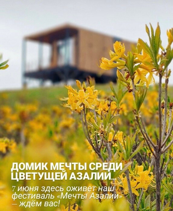 Фото Медовые Холмы