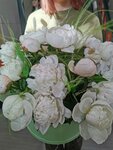 Tsvetochnyj aljans (posyolok gorodskogo tipa Selyatino, Sportivnaya ulitsa, 2А), flower shop