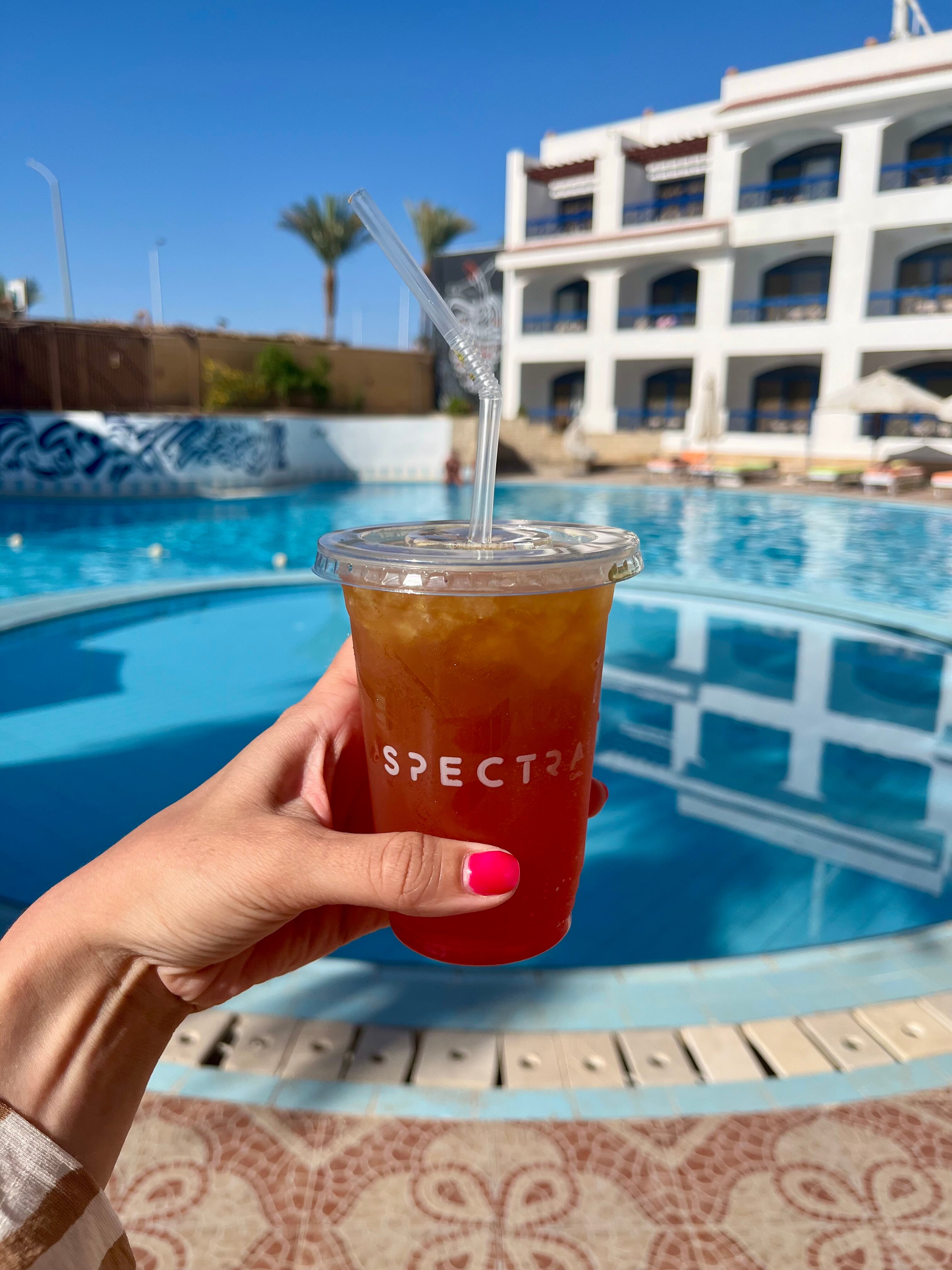 Фото El Khan Sharm Hotel