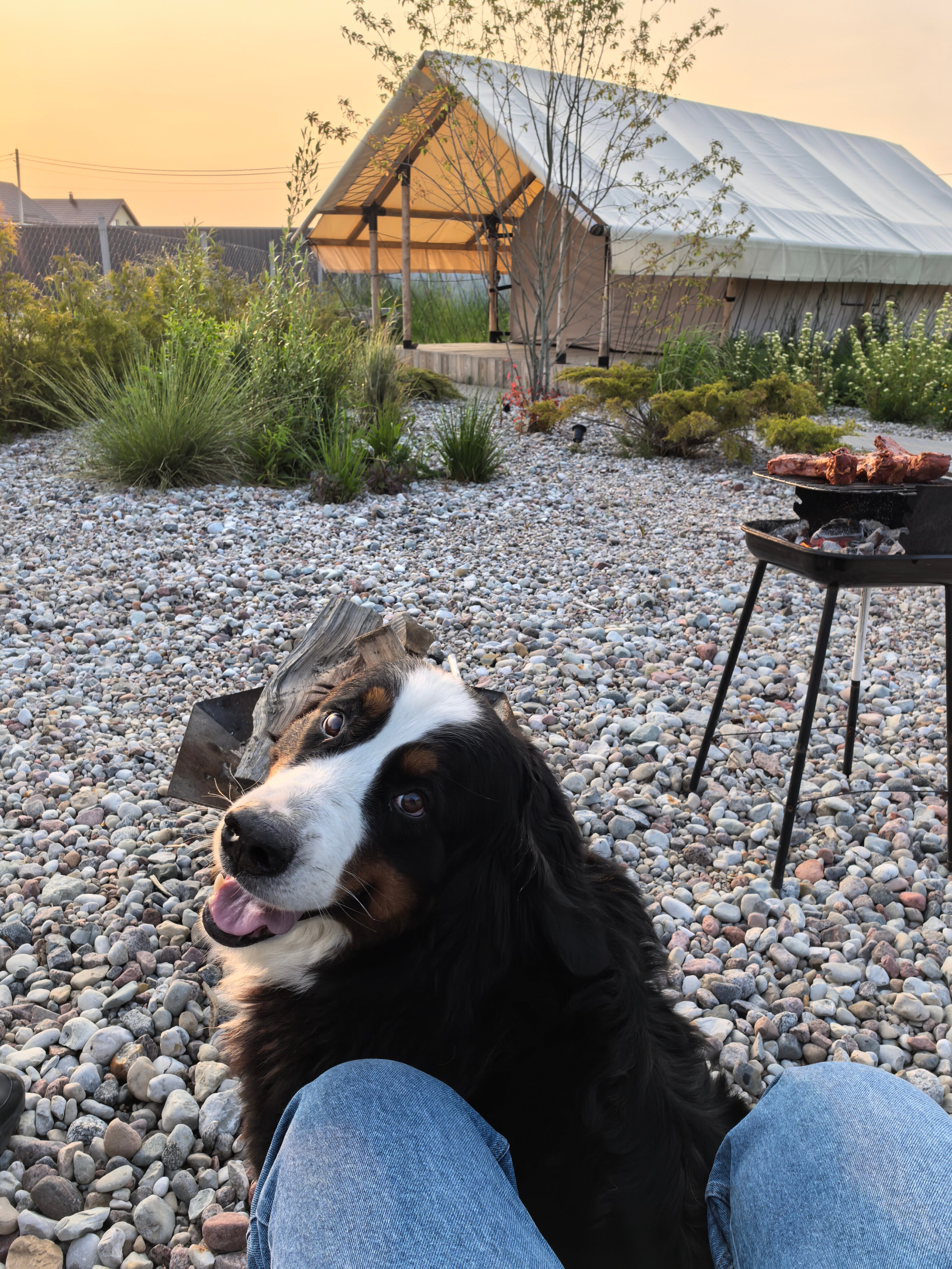 Фото Дача Loft