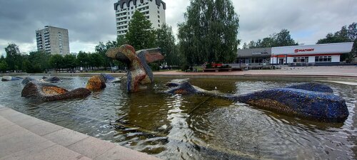 Keksa erkaklar jinsiy azolarining fotosuratlari