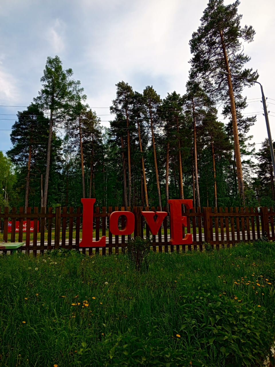 Фото Лесная