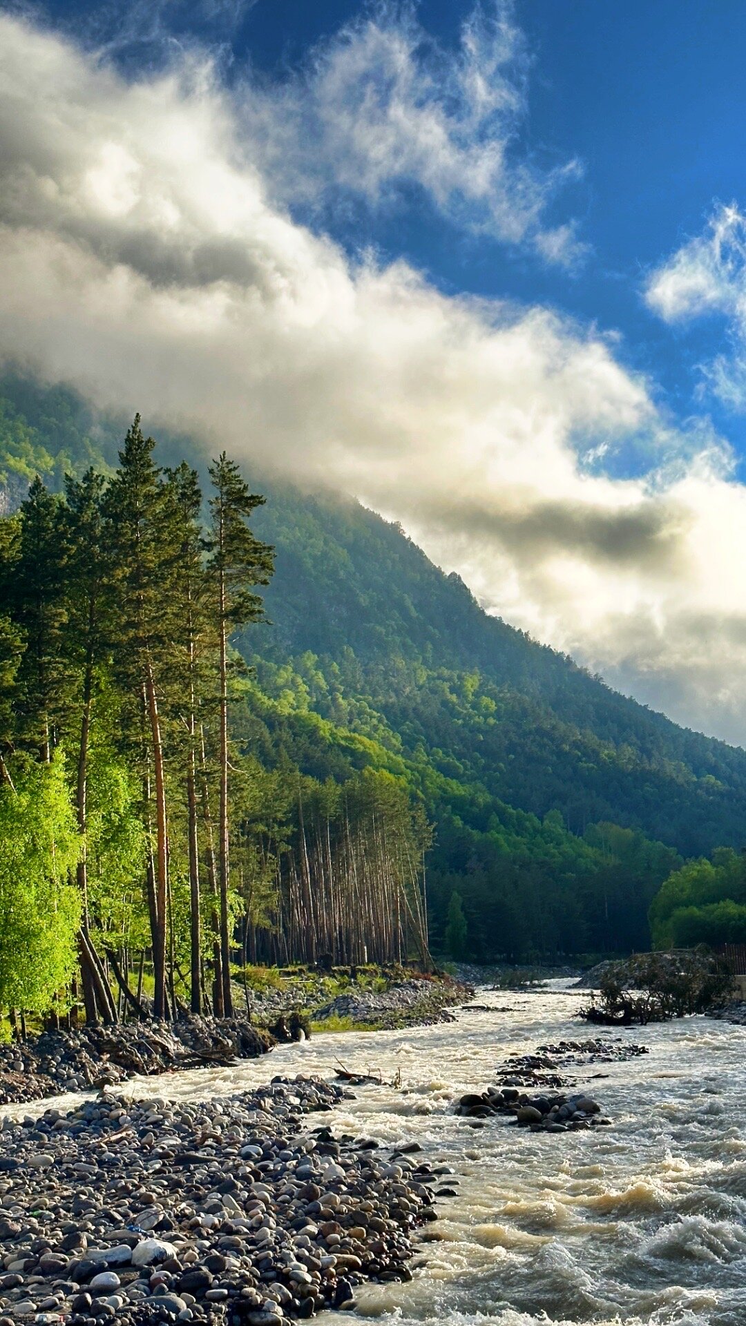 Фото Метелица Эльбрус