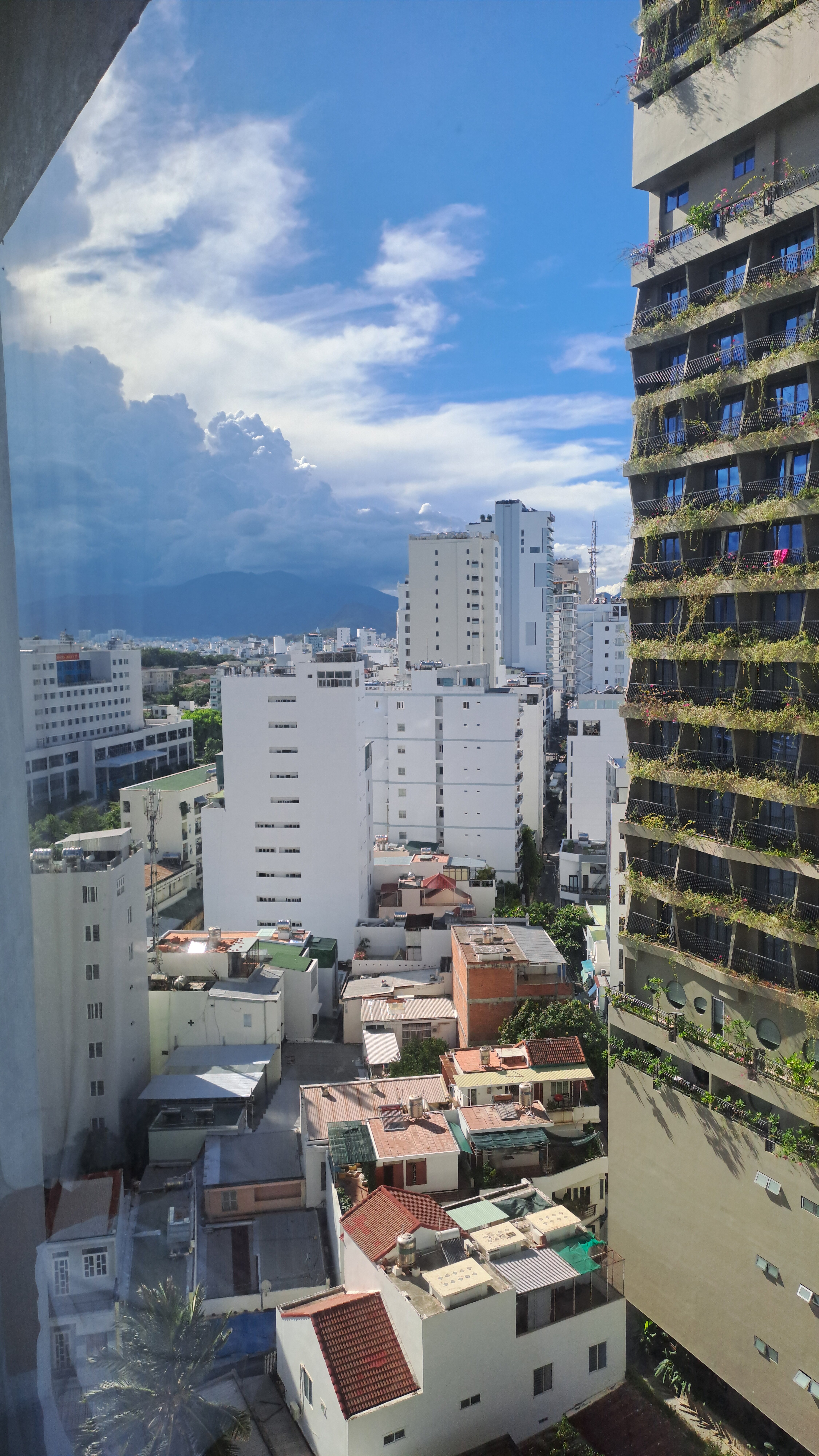 Фото Dendro Gold Hotel