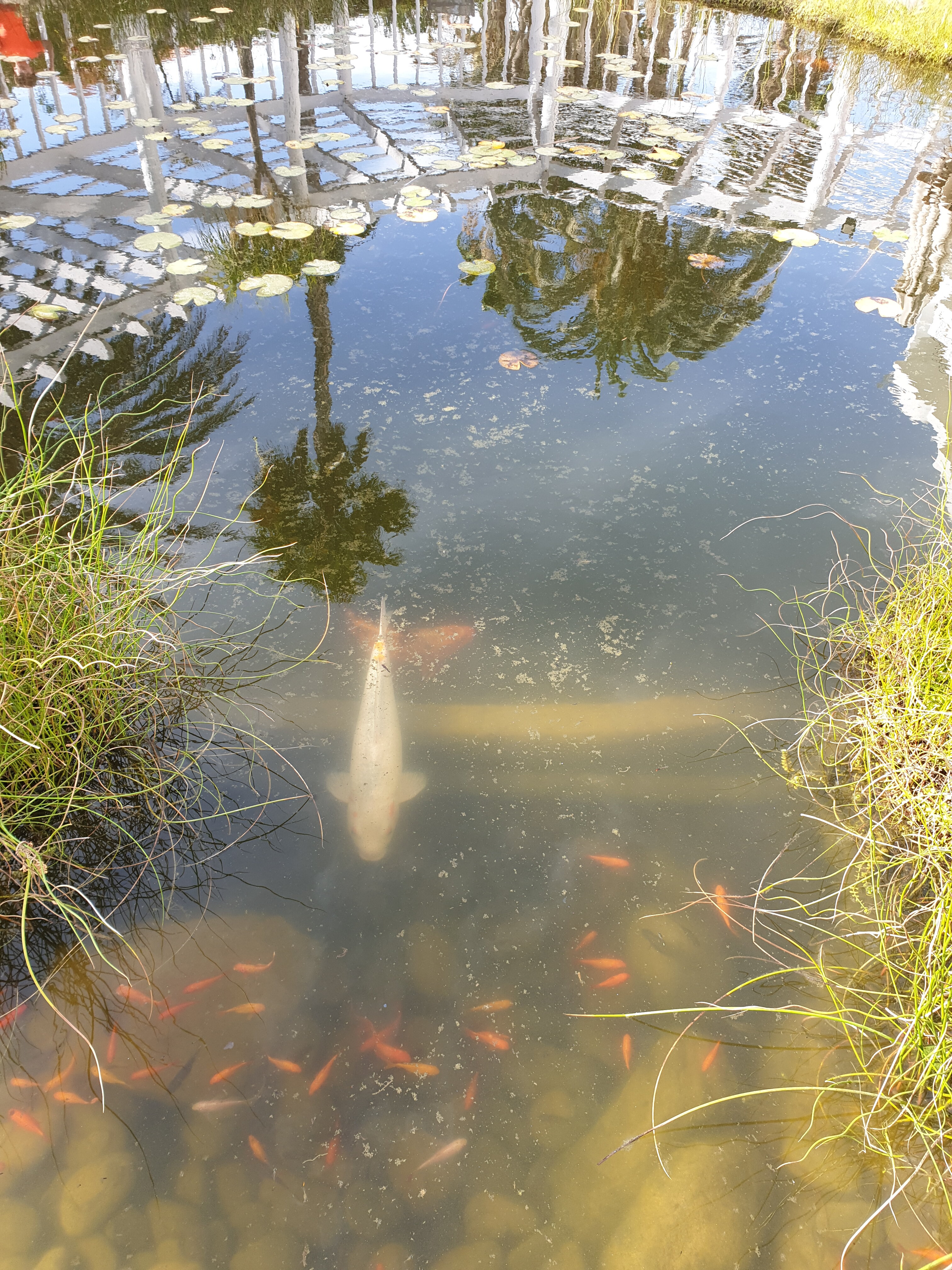 Фото Abora Catarina by Lopesan