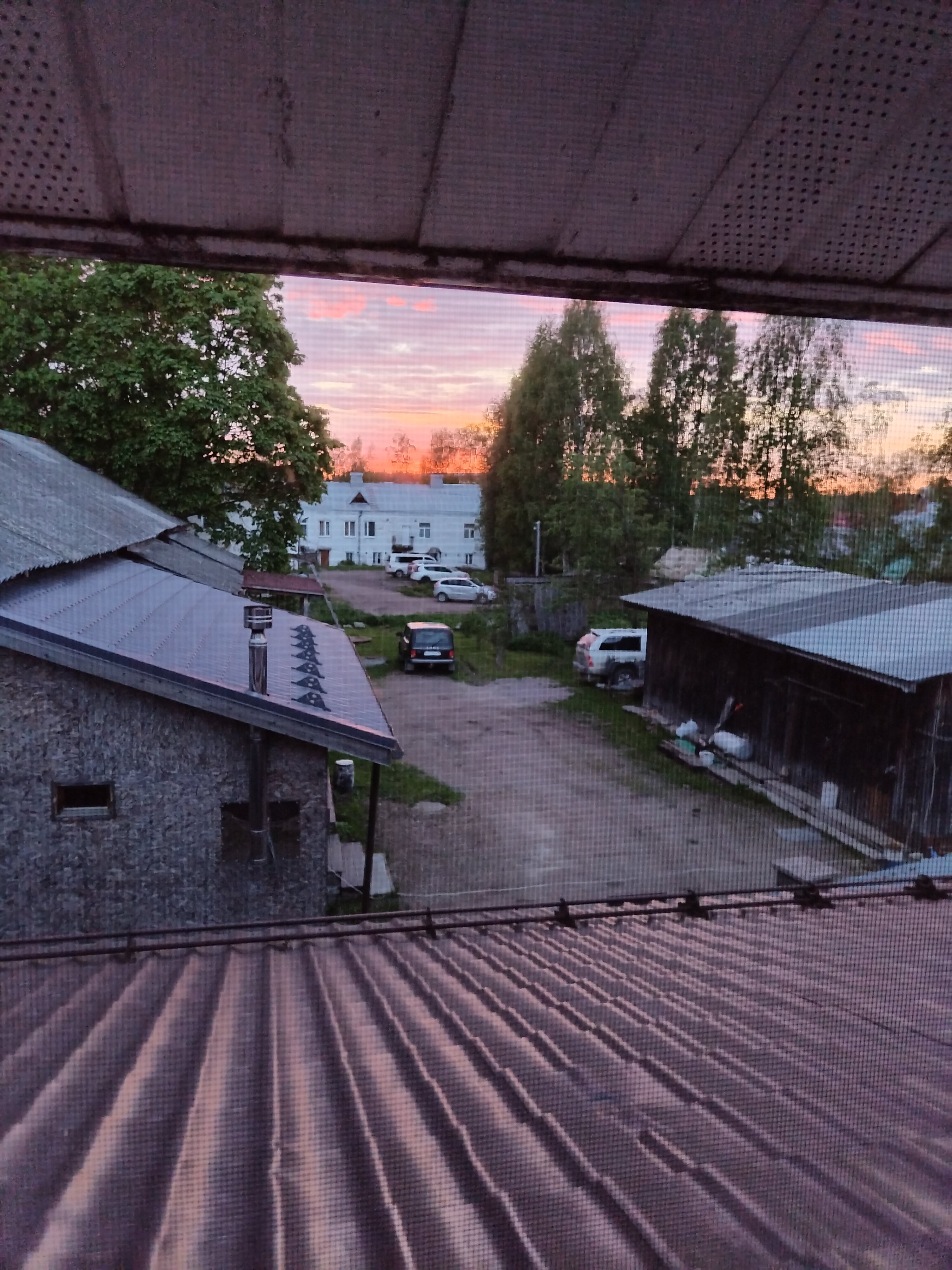 Фото Северный олень