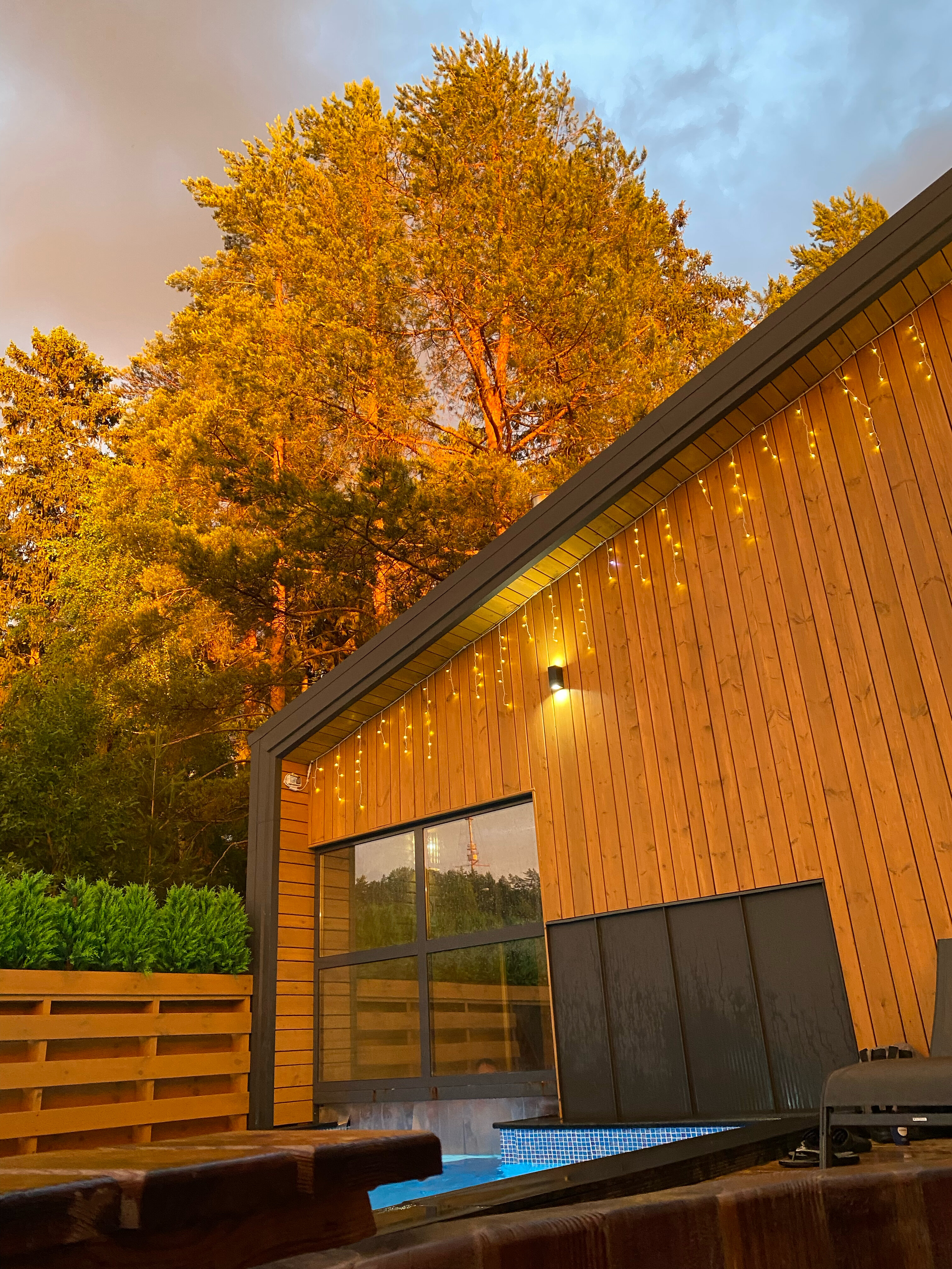 Фото Аквафорест