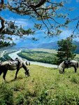 Аргымак (Republic of Altai, 84K-116) ، ركوب الخيل