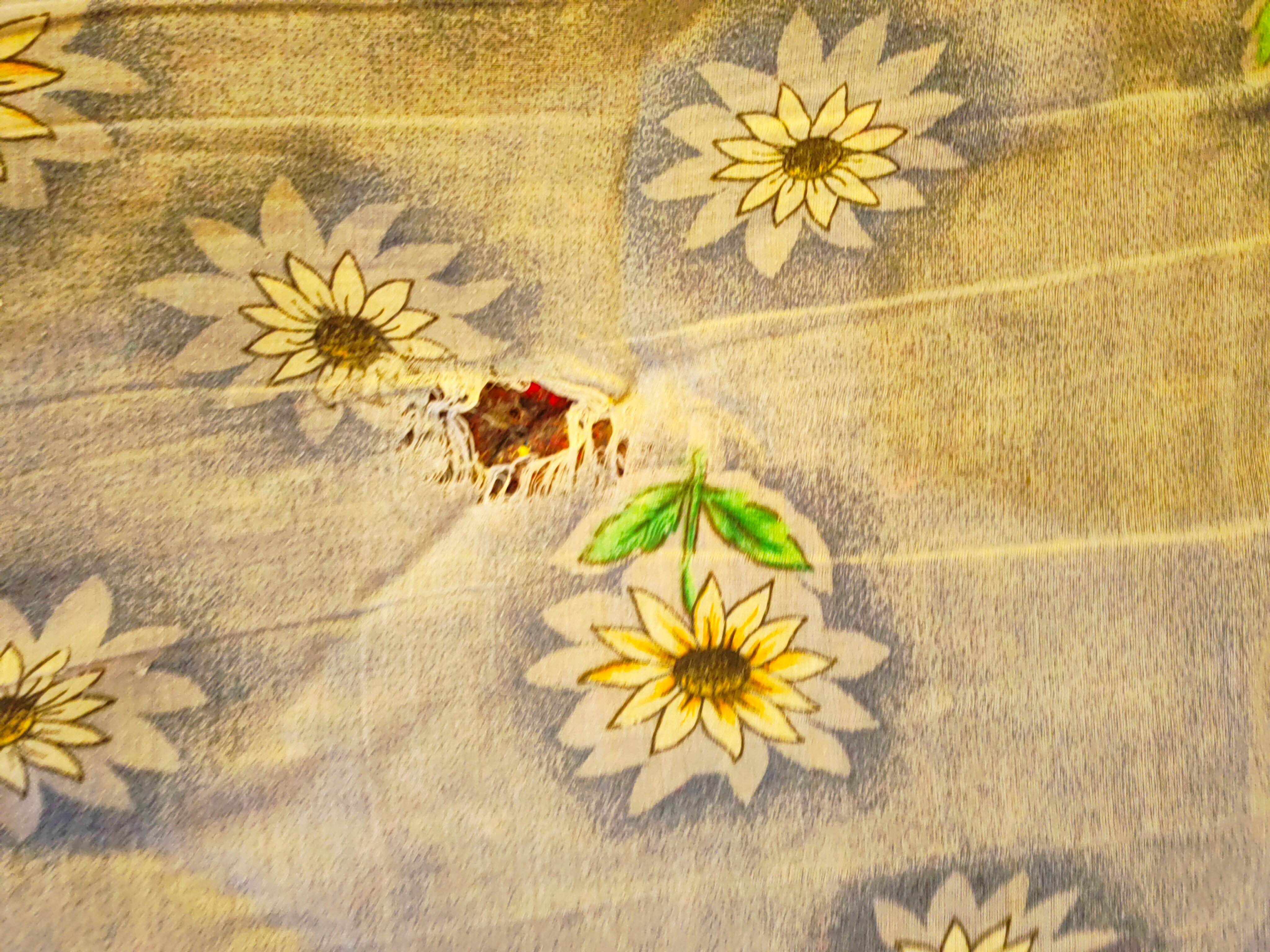 Фото Сусанна