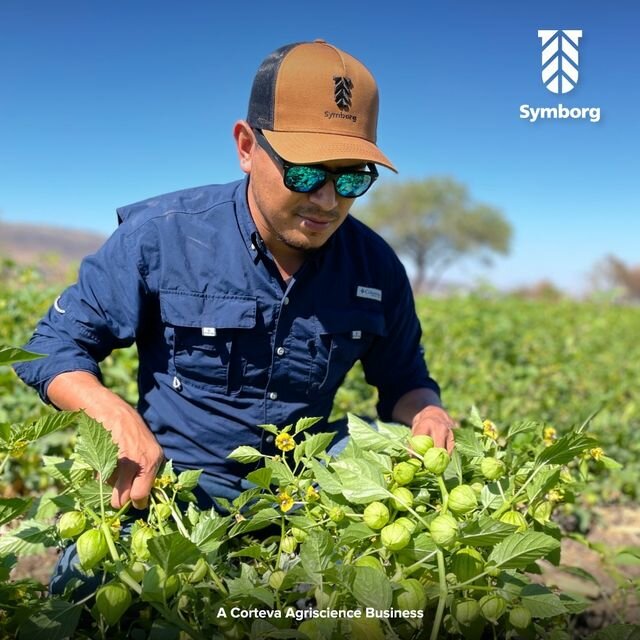 Fertilizers Symborg, Antalya, photo