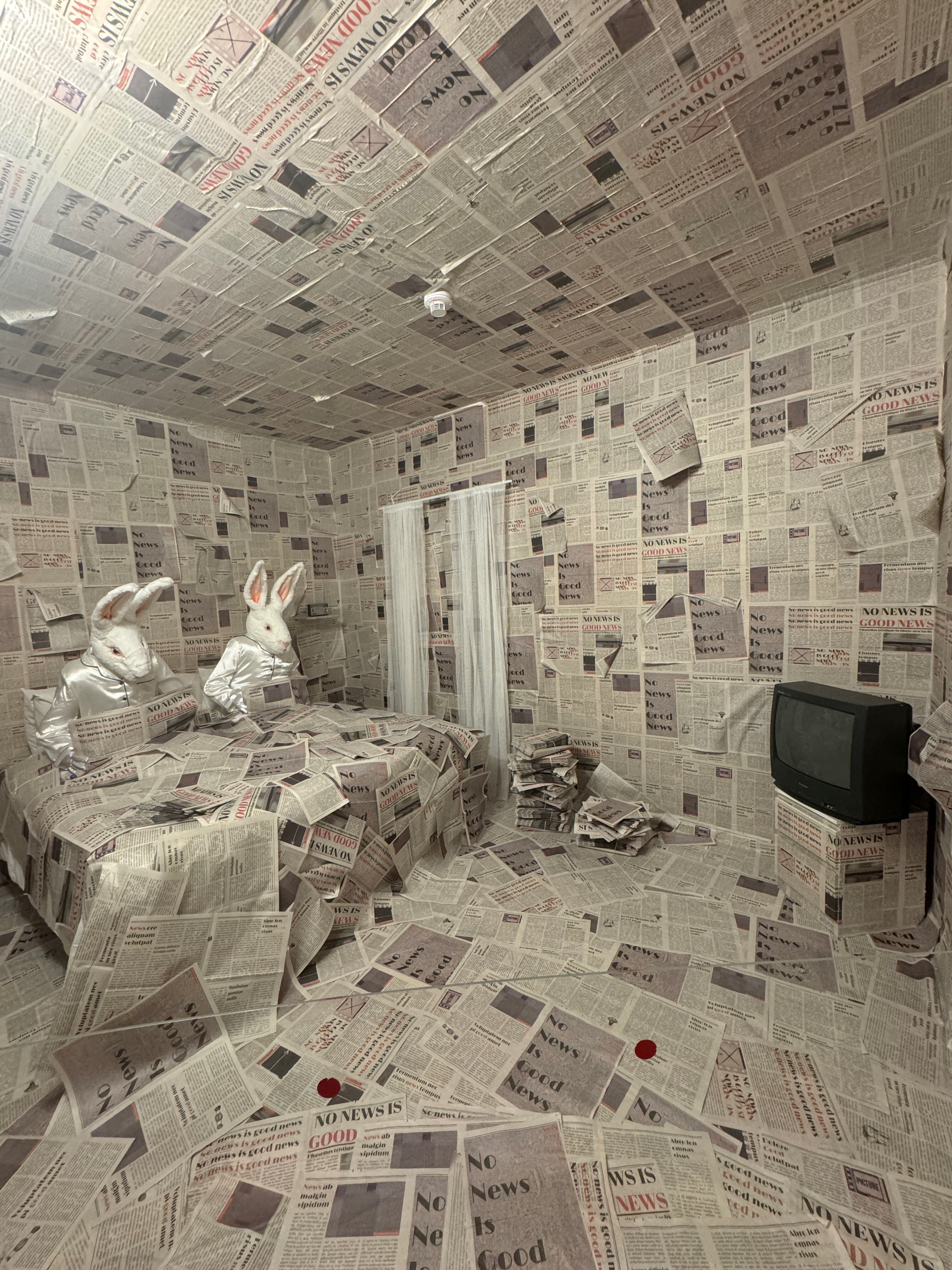 Фото Империал