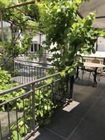 Фото Apartments Kentera